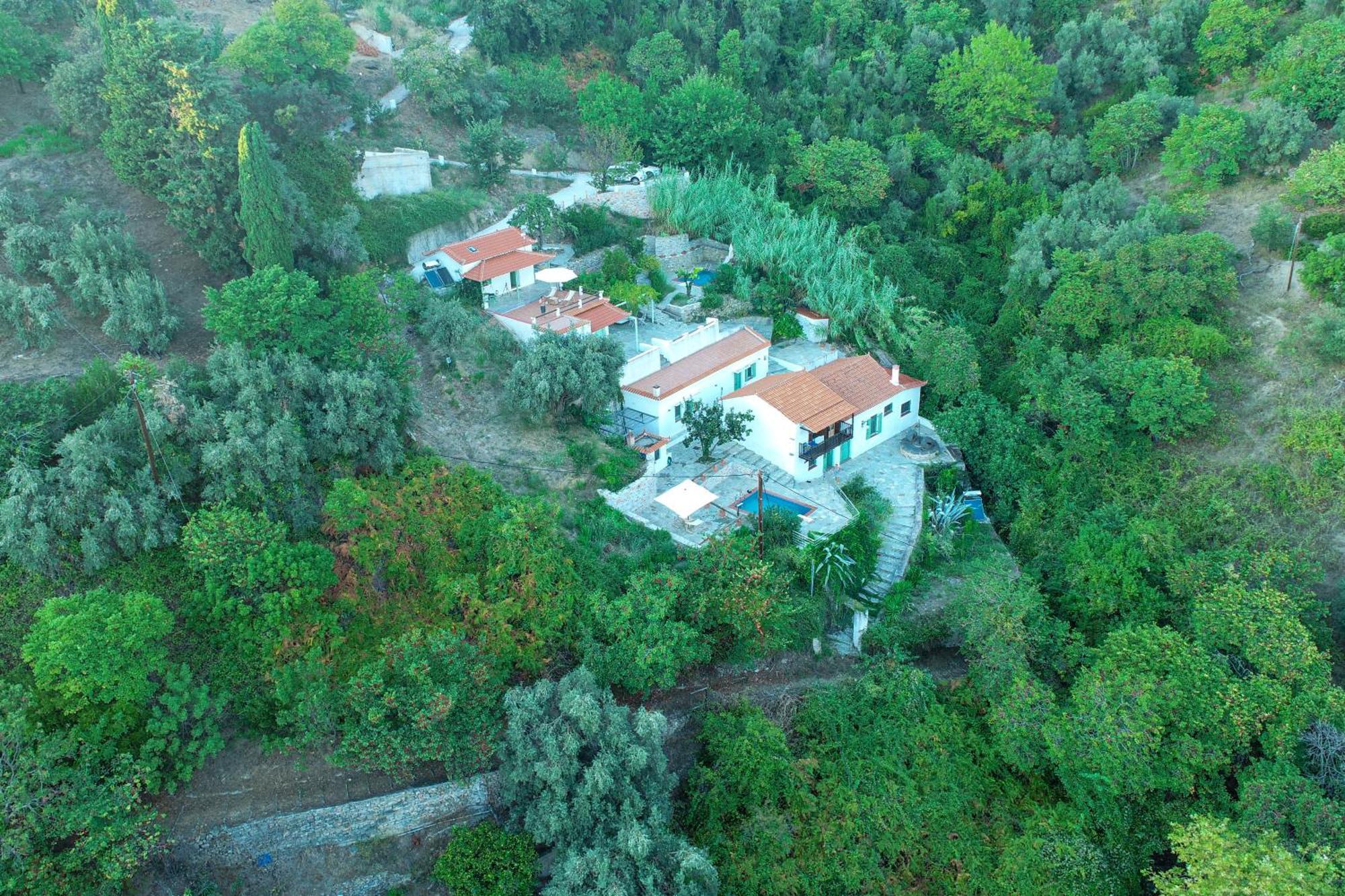 Olea Skopelos Villas With Swimming Pools & Sea View Panormos  Exterior foto